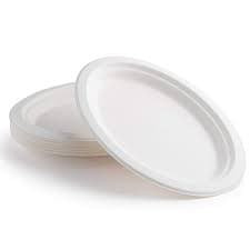 BISSAN OVAL PLASTIC PLATES 10 INCE 20 PCS