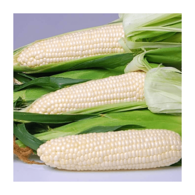 Eden Sweet Corn 550g