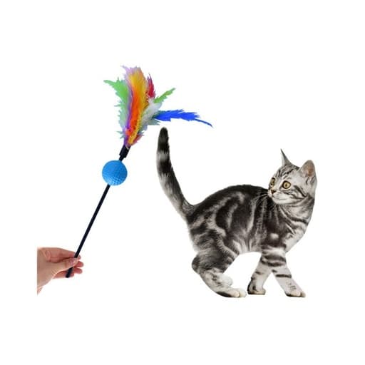 Cat Teaser Wand