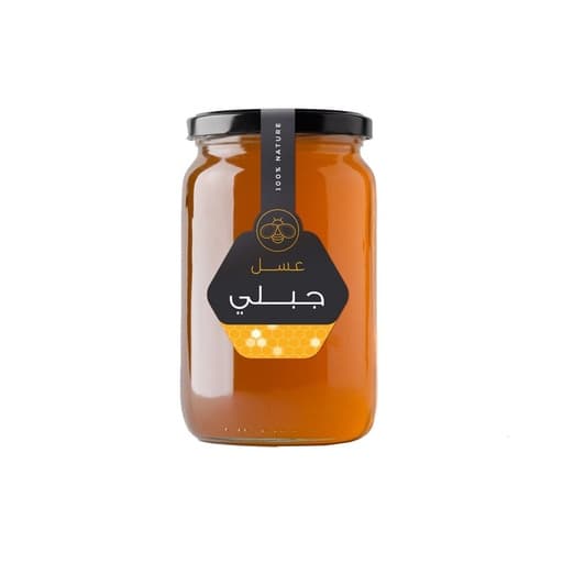 ماونتن عسل 500g 100%