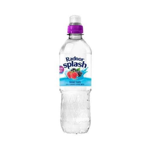 Radnor Splash Forest Fruits Still Spring Water 500ml