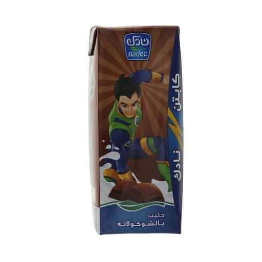 Nadec Chocolate Milk 185ml