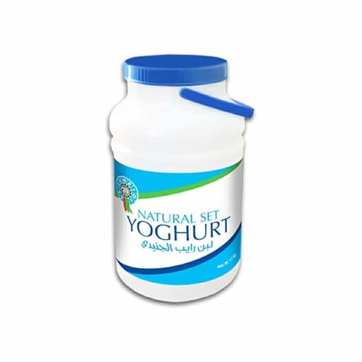 Al-Juneidi Yoghurt Jar – 1.5