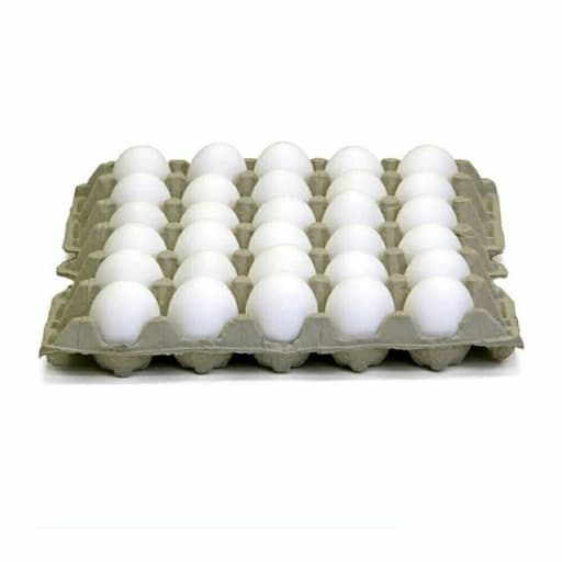 Eggs Carton – 30