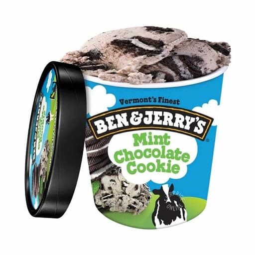 BEN & JERRY’S MINT CHOCOLATE COOKIE