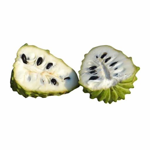 Annona