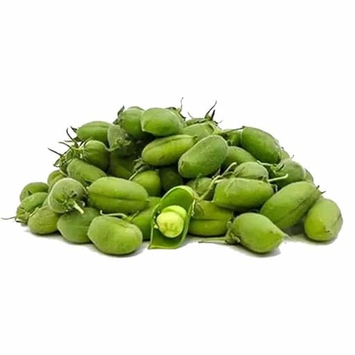 حاملة