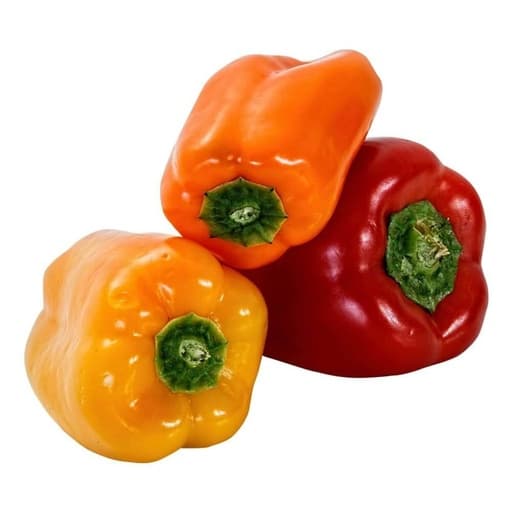 Bell Pepper