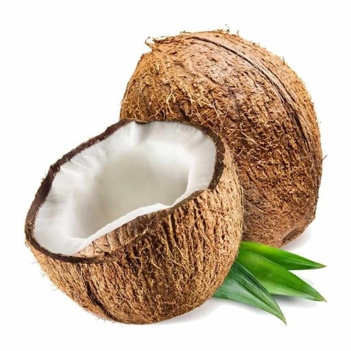 Coconut