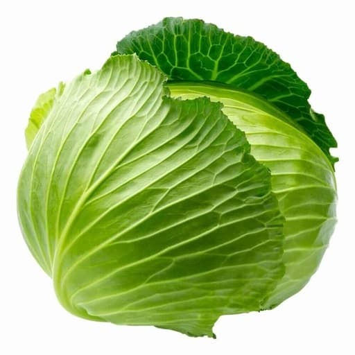 Cabbage