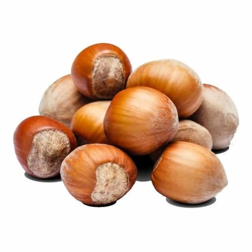 ALTAY CHESTNUTS