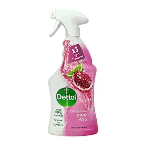 Dettol General Antibacterial Cleaner Detul Pomegranates 750 ml